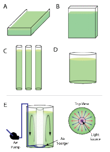 Different photobioreactors