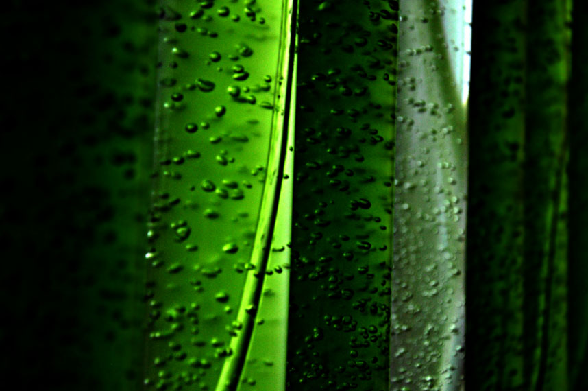 Algae Photobioreactor Title Image